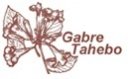 JOSIP GABRE